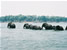 Fishing in Zambia