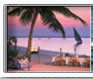 Luxury Safaris